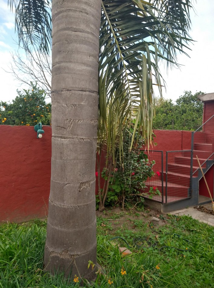 Gran casa con 6n dormitorios. Ideal familia numerosa o emprendimiento comercial